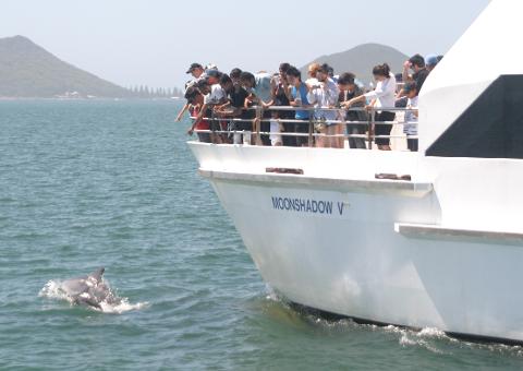Port Stephens Dolphin Watch (Optional upgrade to 4WD & Sand Boarding or Camel Riding)